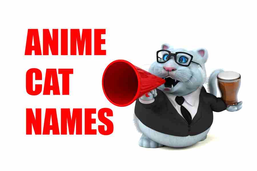 240-anime-cat-names-adorable-names-to-inspire-you