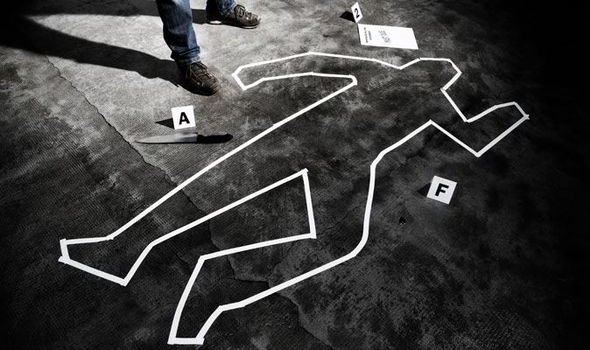 Investigating Crime Scene