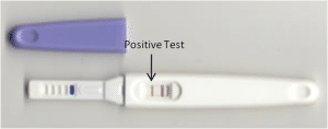 Pregnancy Test